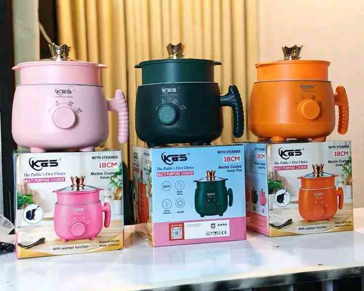 KGS Multi Purpose Electric Cooker 18CM with Steamer – মাল্টিপারপাস ইলেকট্রিক কুকার
